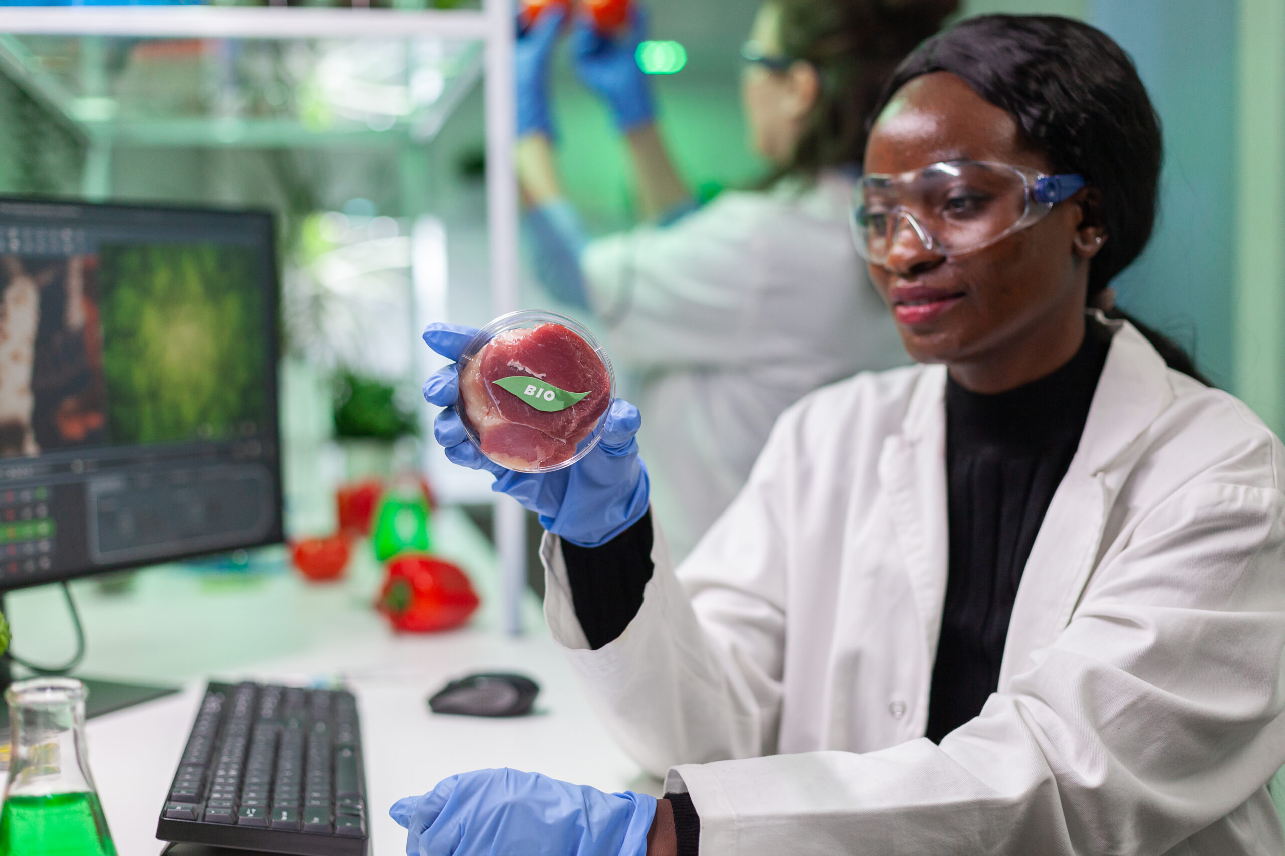 Biologist researcher looking at plant based beef substitute for vegetarien people typing biotech medical expertise on computer. Scientist analyzing genetic mutation on food working in microbiology lab.